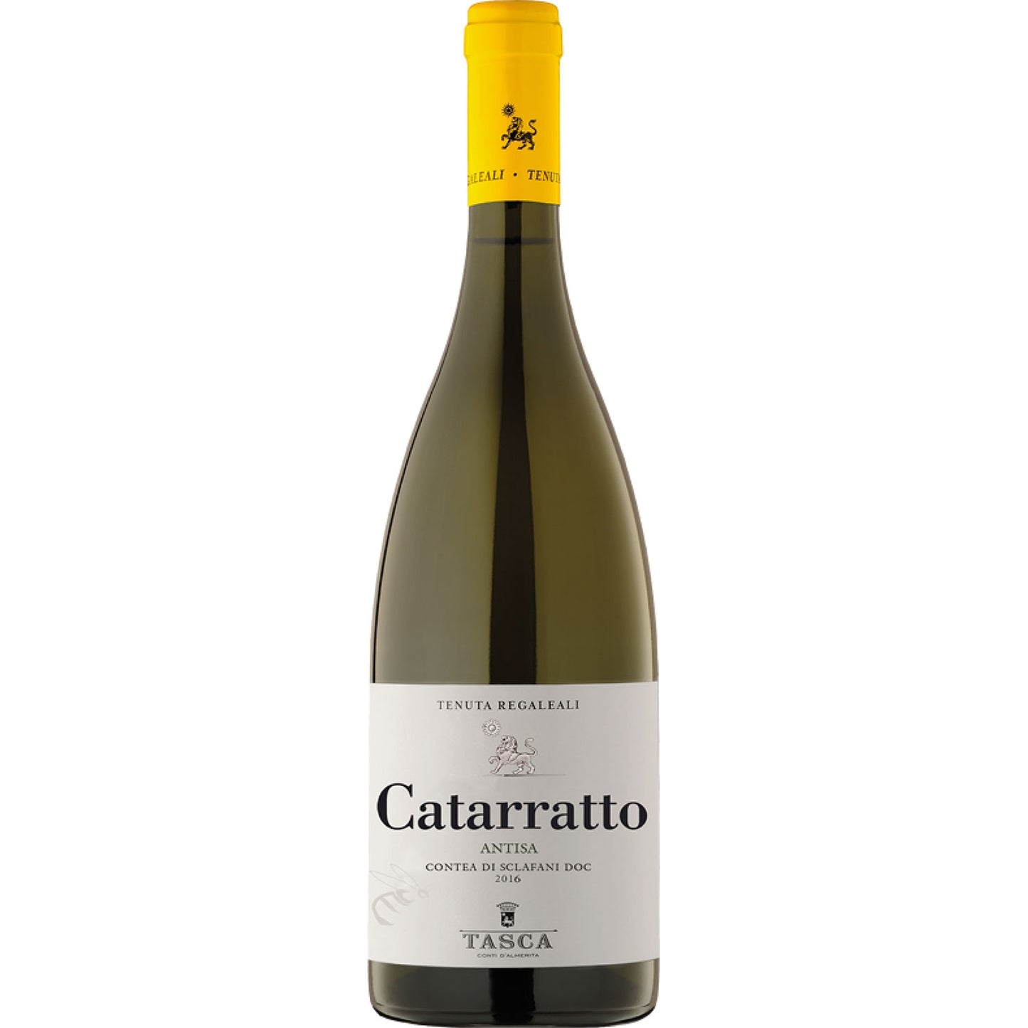 TASCA CATARRATTO 2019
