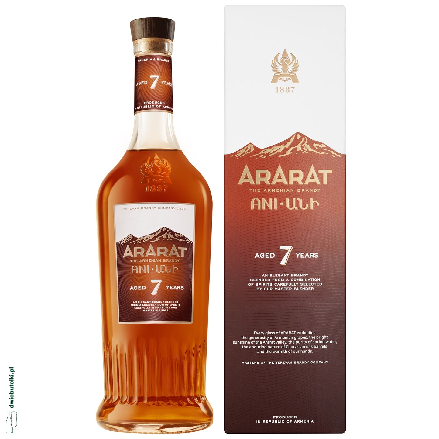 ARARAT ANI AGED 7 YEARS