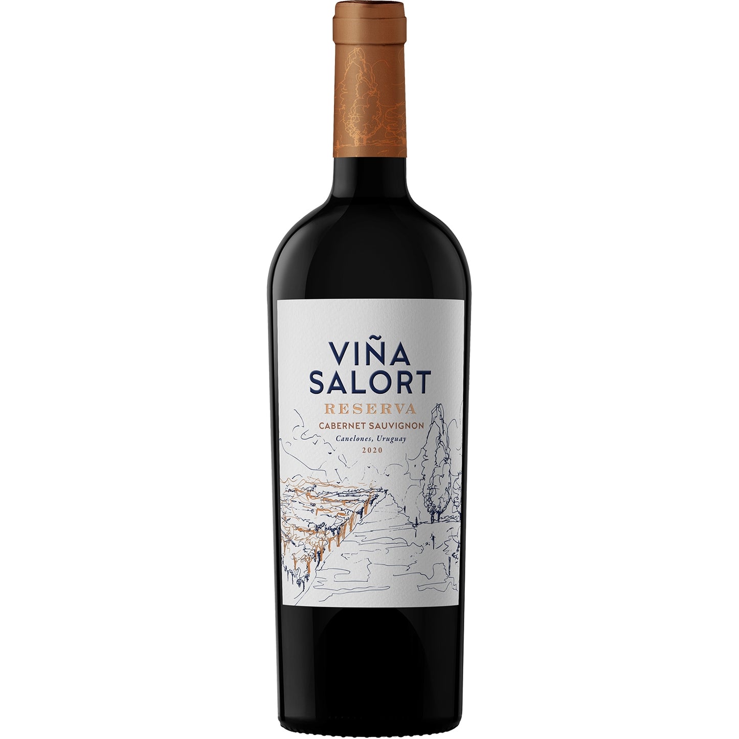 VINA SALORT CAB. SAUVIGNON RESERVA 2020