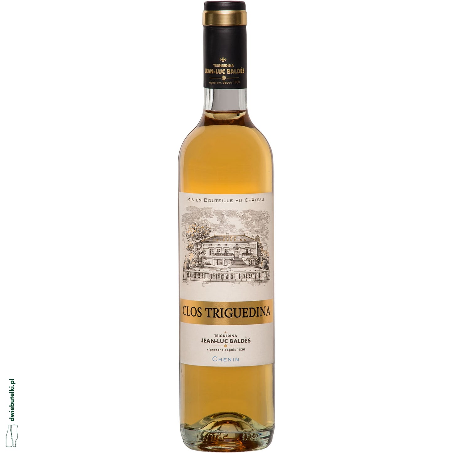 CLOS TRIGUEDINA CHENIN 2020