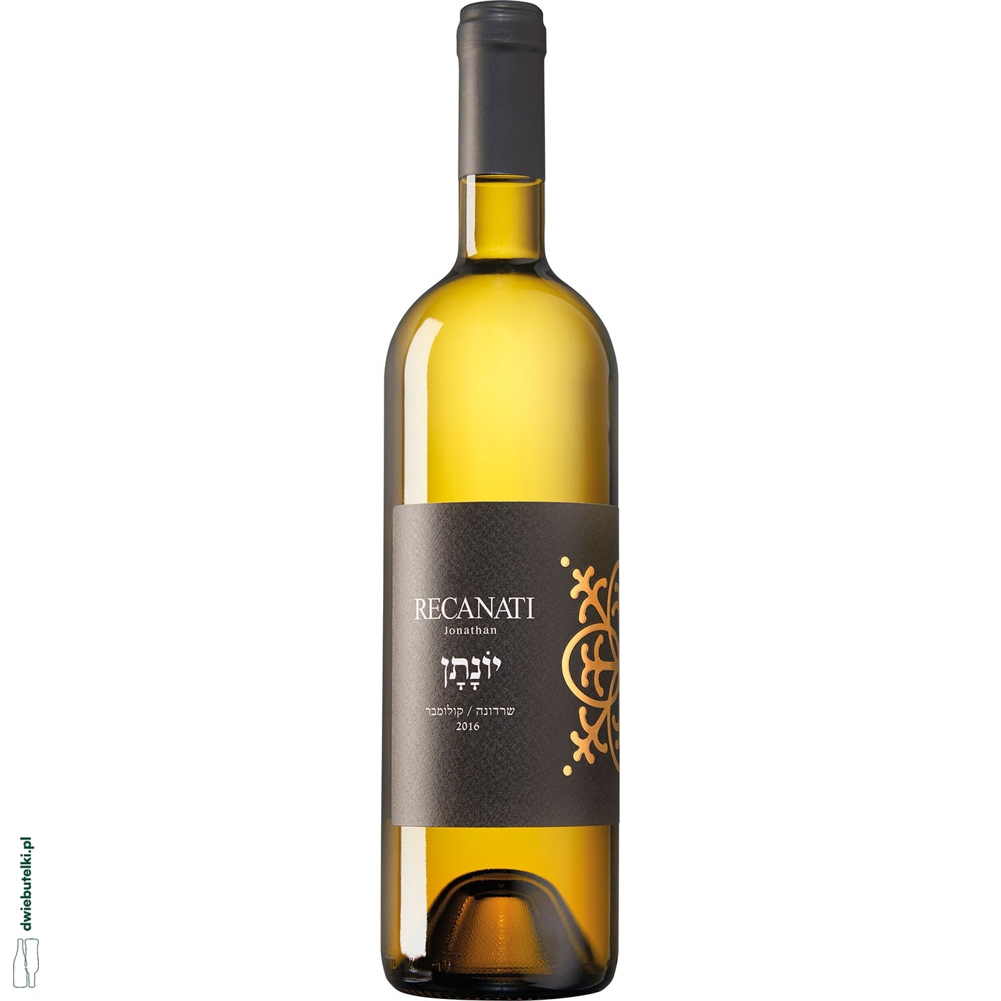 RECANATI JONATHAN WHITE 2022