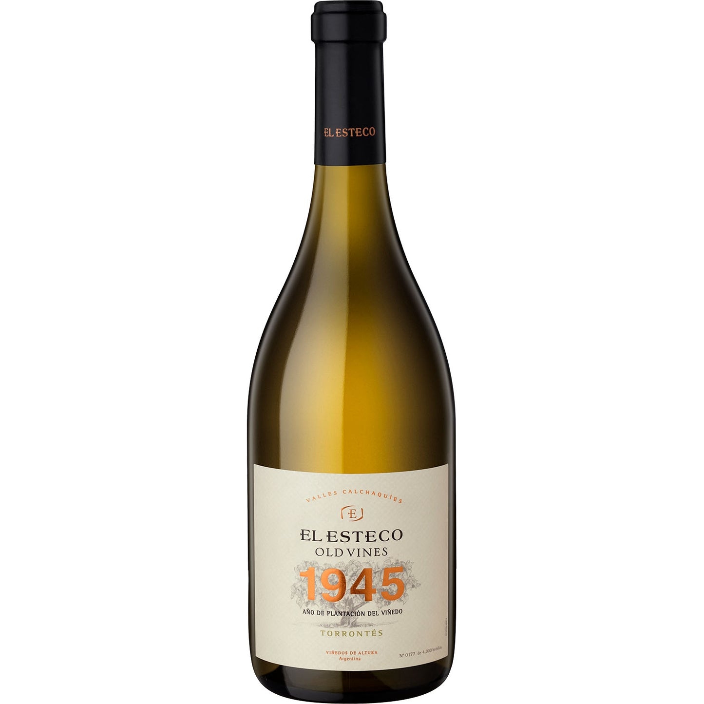 EL ESTECO OLD VINES 1945 TORRONTES 2022