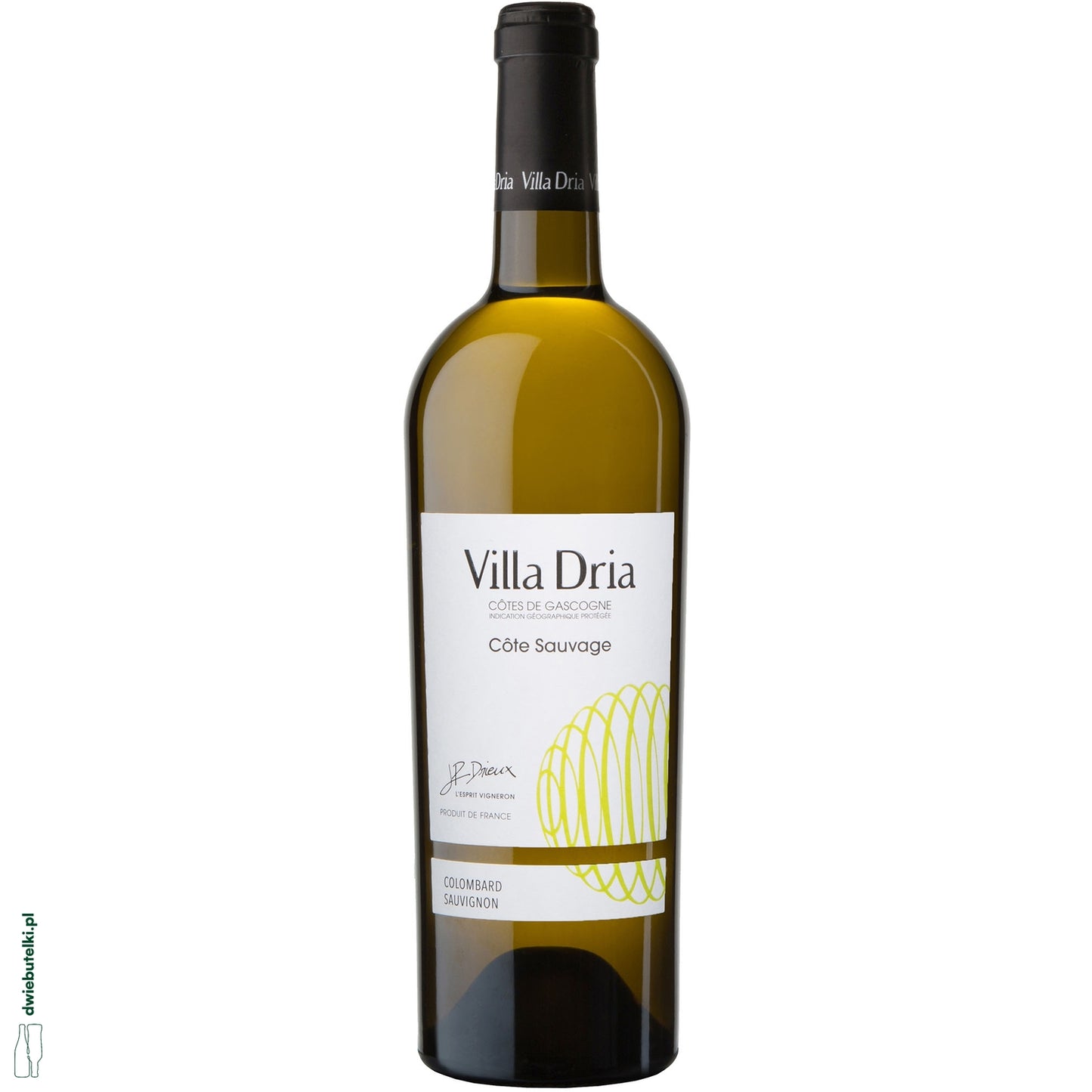 VILLA DRIA COLOMBARD/SAUVIGNON 2023