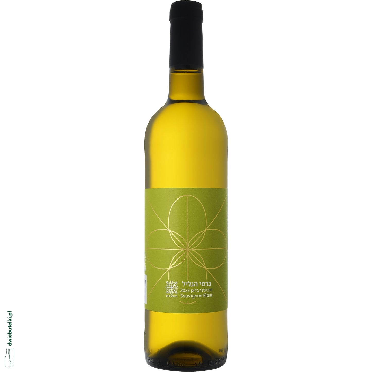 RECANATI SAUVIGNON BLANC 2023