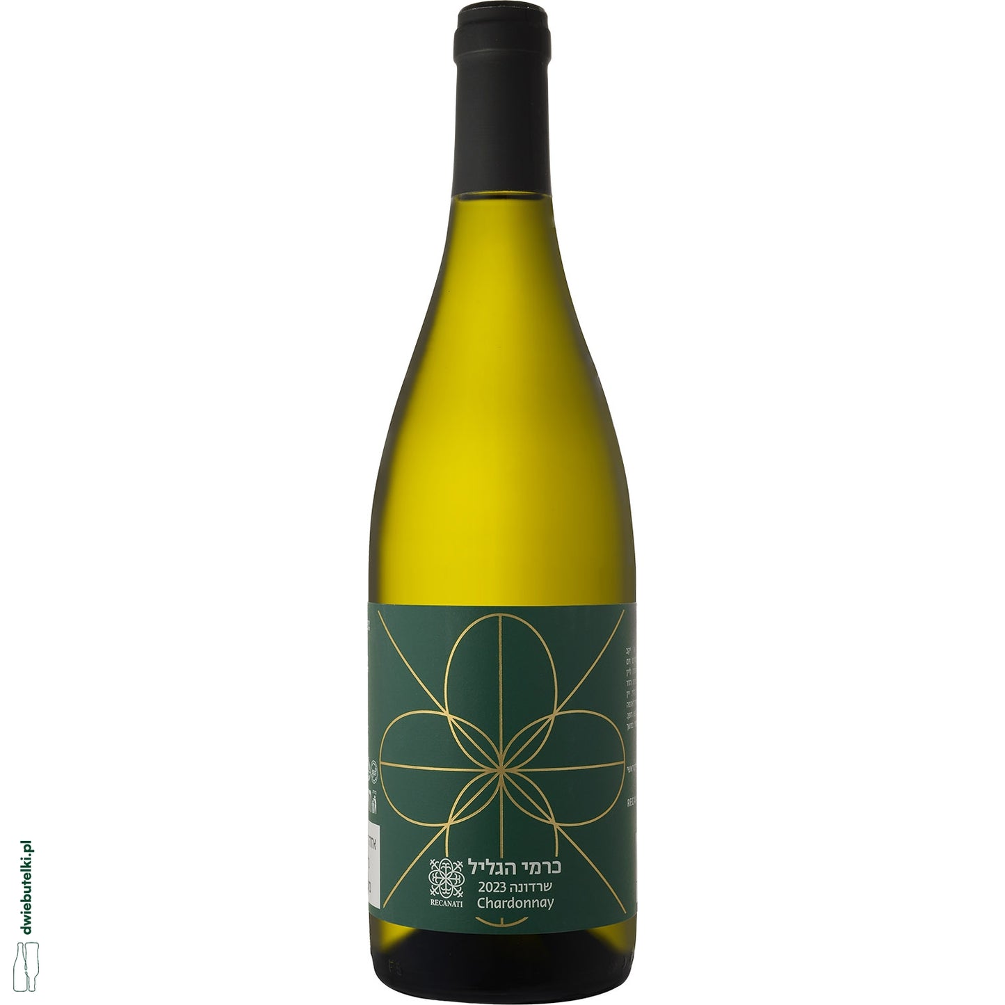 RECANATI CHARDONNAY 2023