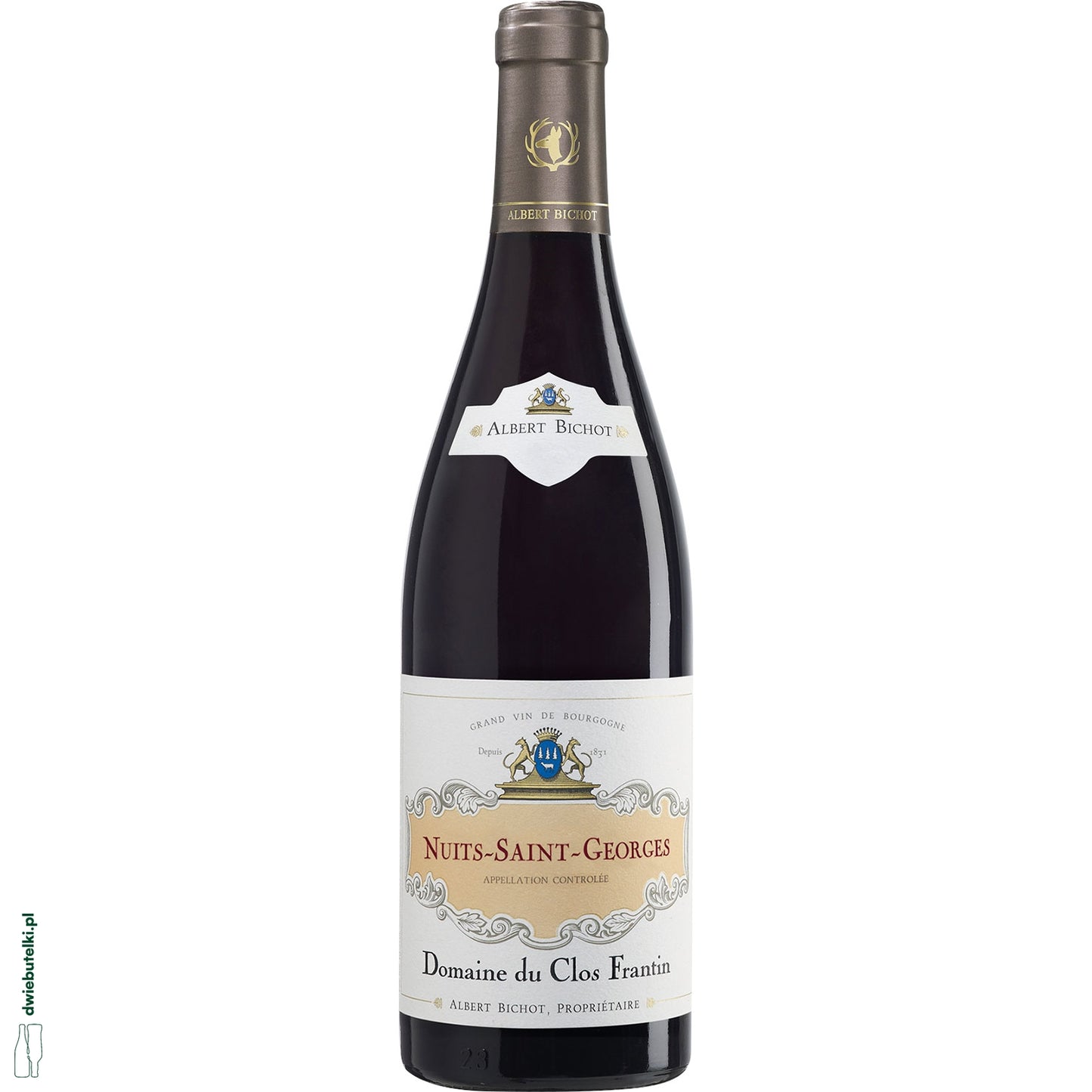 NUITS SAINT GEORGES ROUGE BICHOT 2020