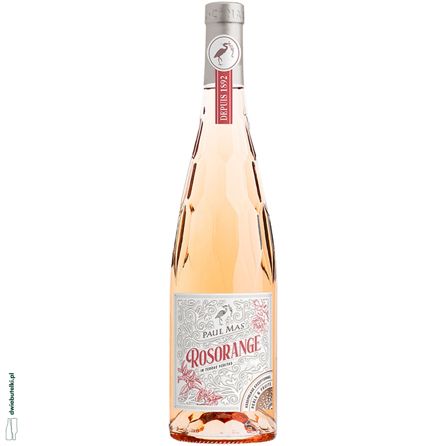 PAUL MAS ROSORANGE 2024