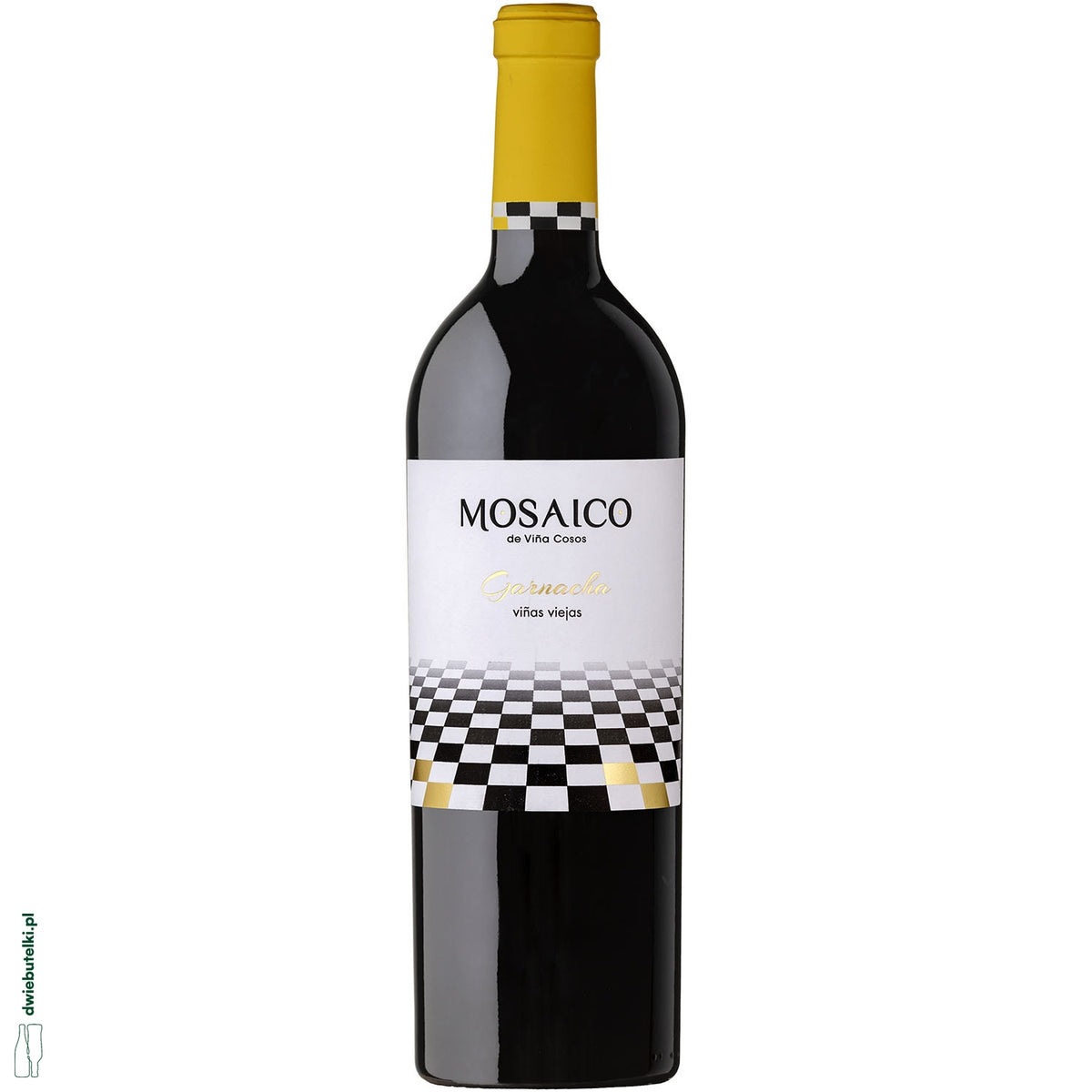 MOSAICO ARAGONESAS 2023