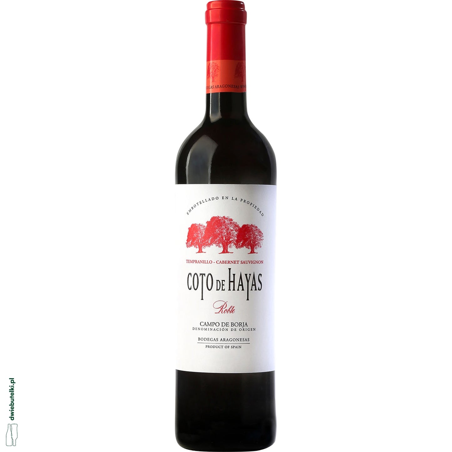 COTO DE HAYAS ARAGONESAS 2024 GARNACHA-SYRAH