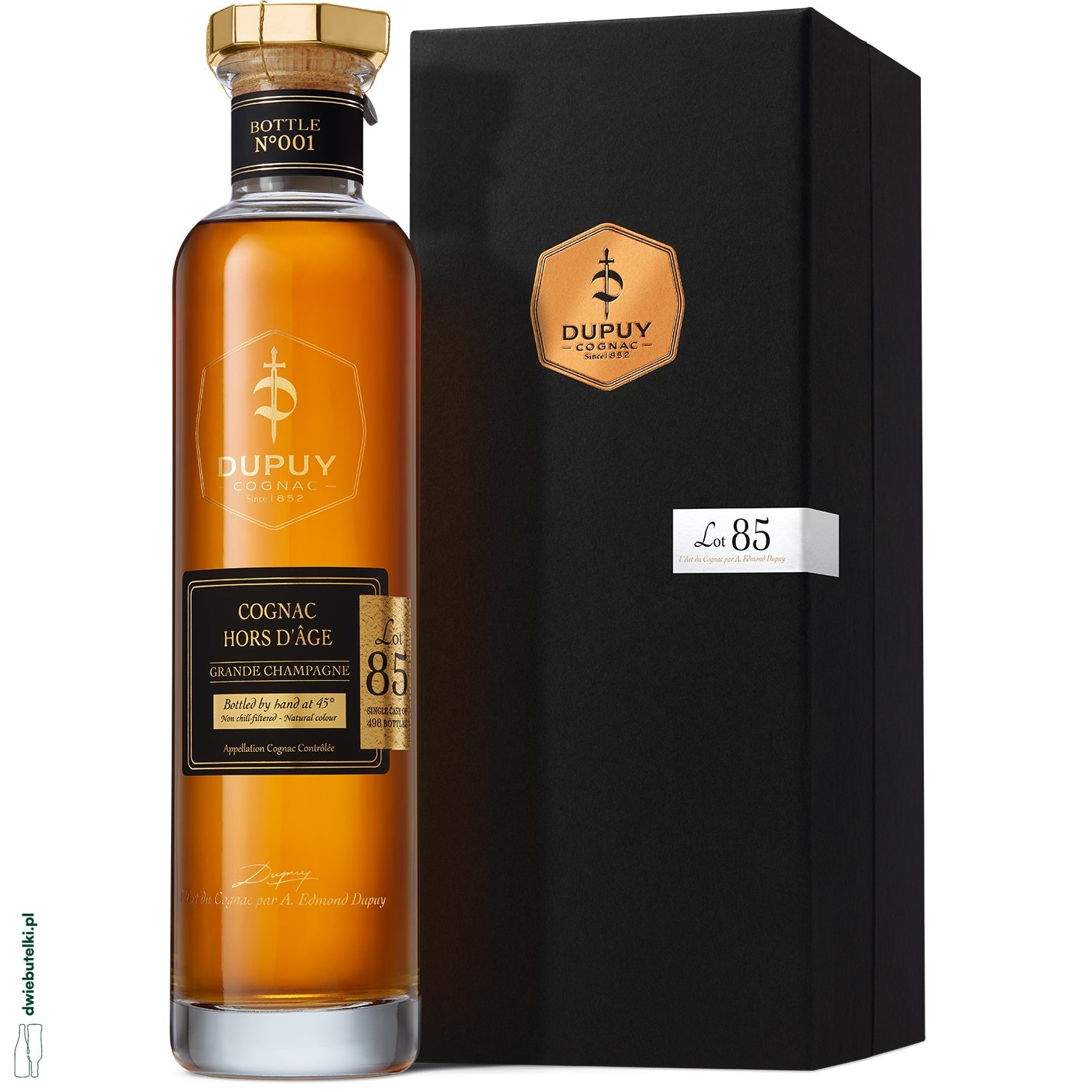 DUPUY HORS D'AGE GRANDE CHAMPAGNE 1985 0,7L KARTONIK
