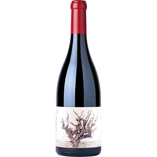 Recanati Wild Carignan Reserve 2020 0,75