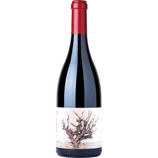 RECANATI WILD CARIGNAN RESERVE 2021