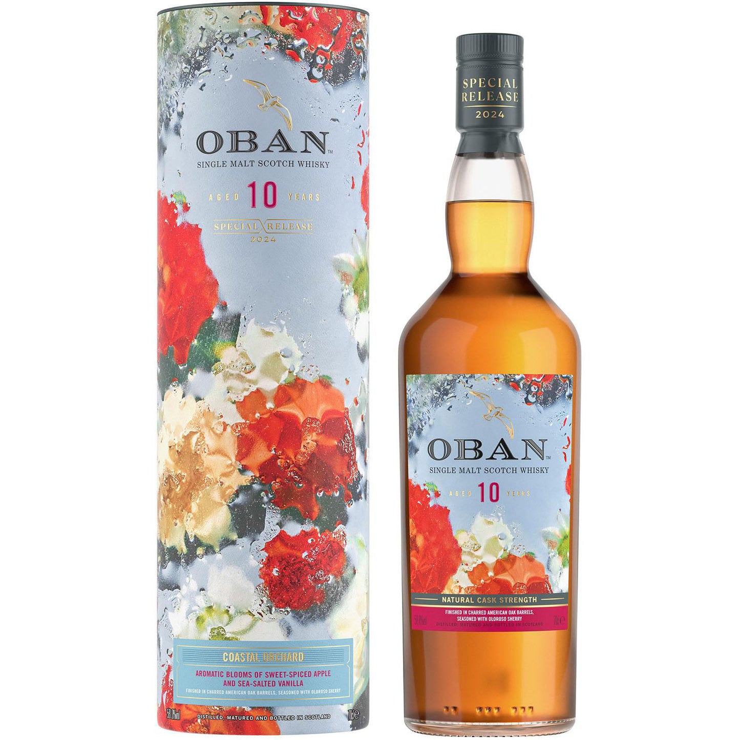 Oban 10 Yo 0,7 Puszka Dsr2024 Coastal Orchard 58 %