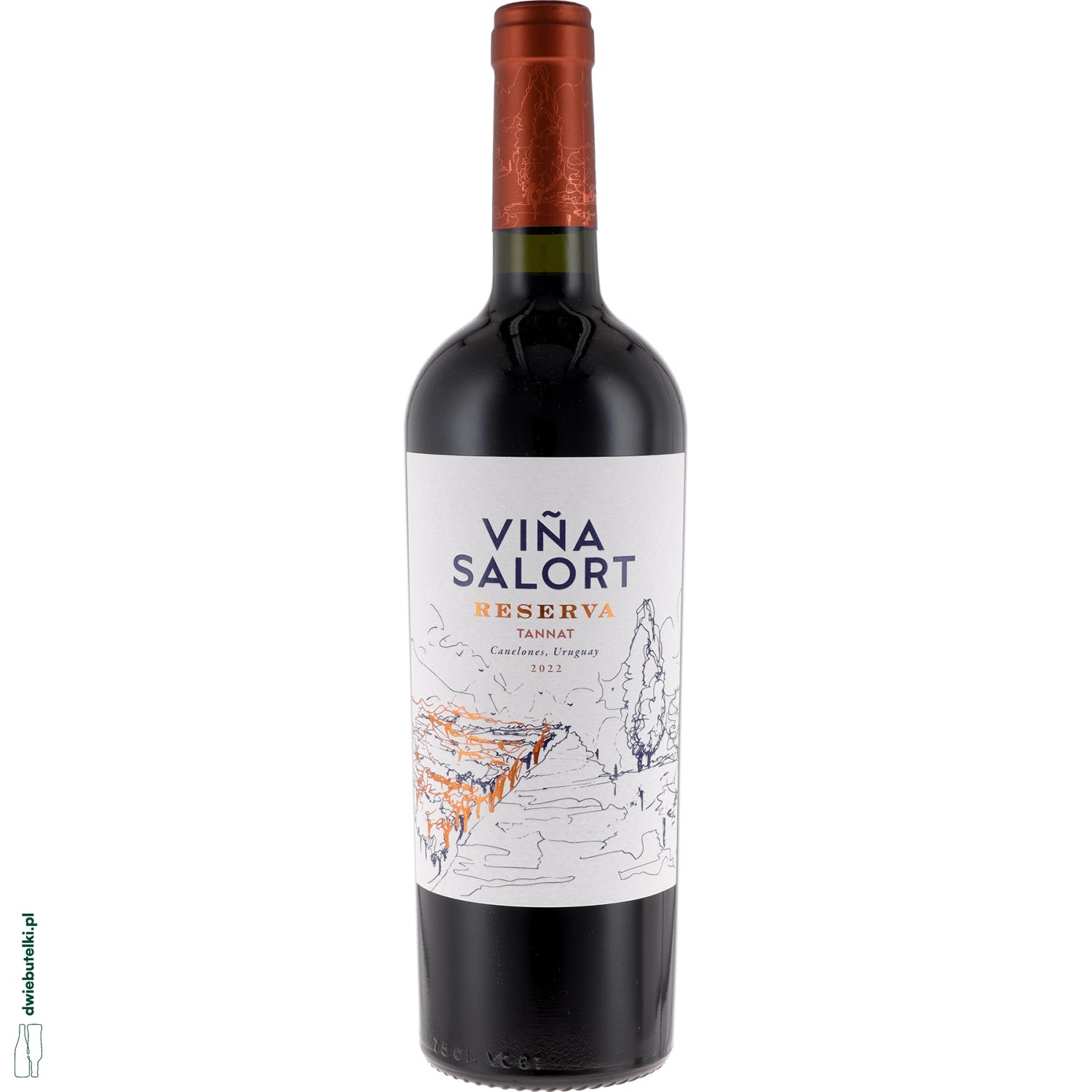 VINA SALORT TANNAT RESERVA 2023