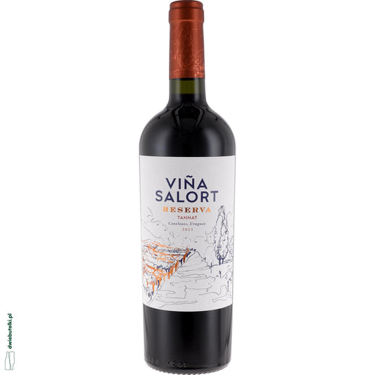 VINA SALORT TANNAT RESERVA 2023
