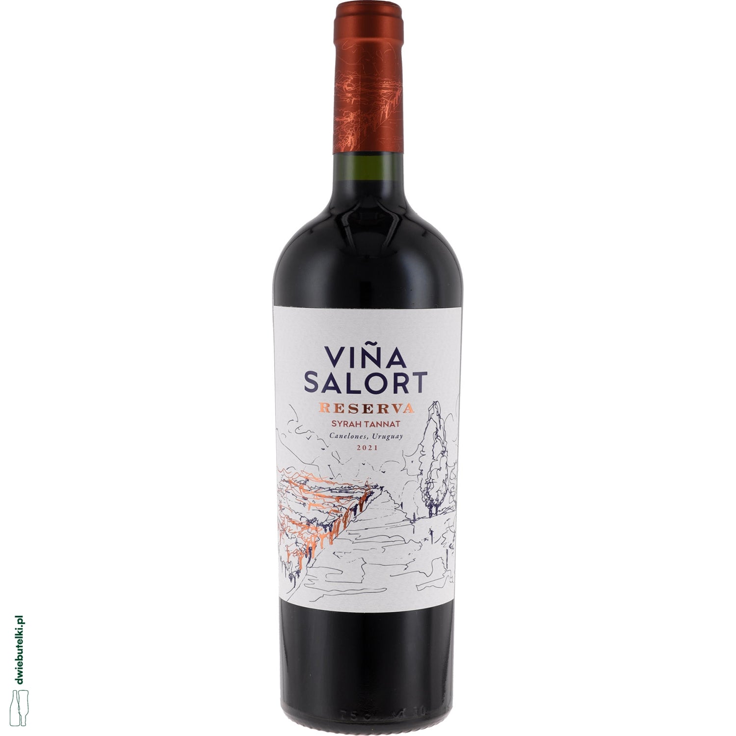 VINA SALORT SYRAH TANNAT RESERVA 2022