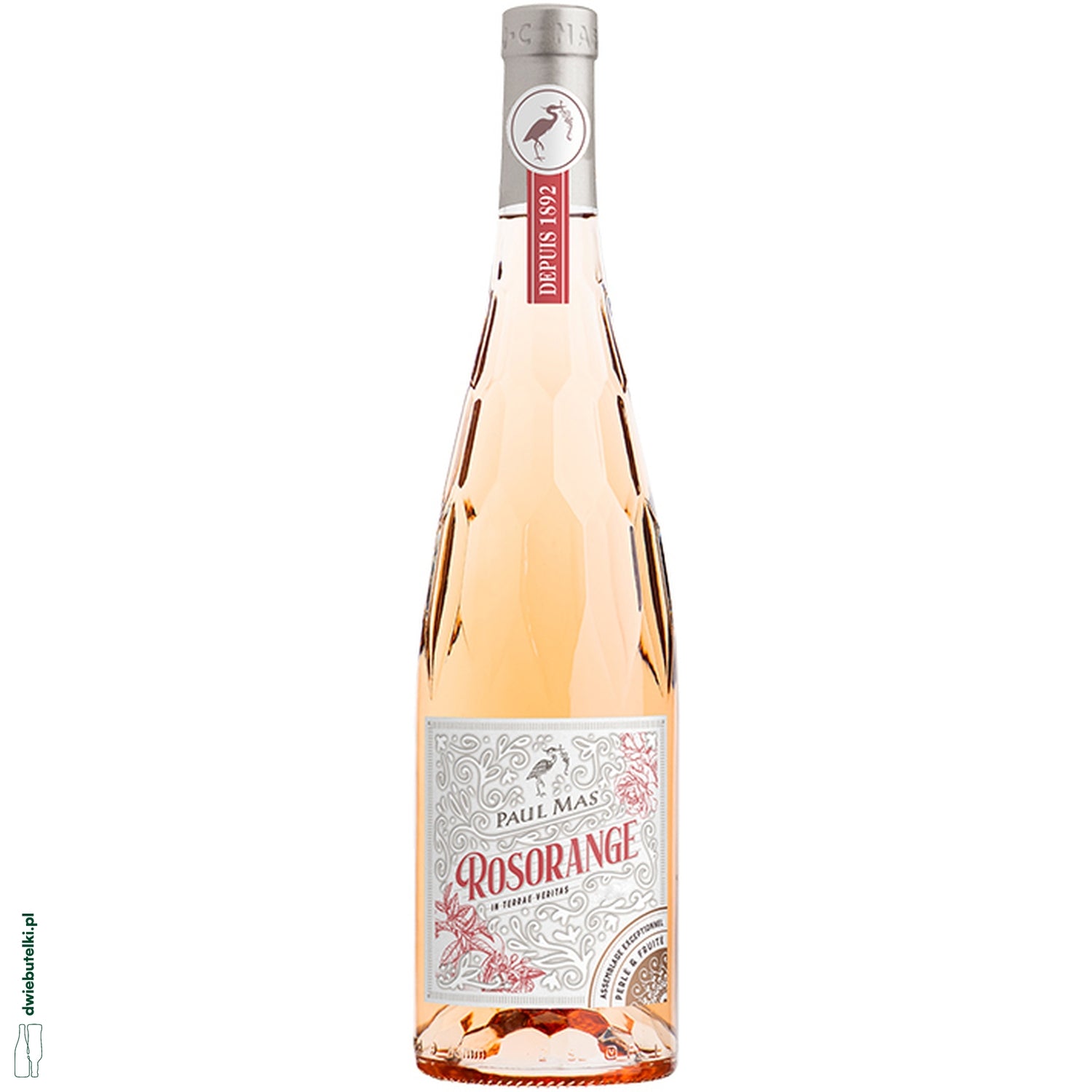 PAUL MAS ROSORANGE 2024