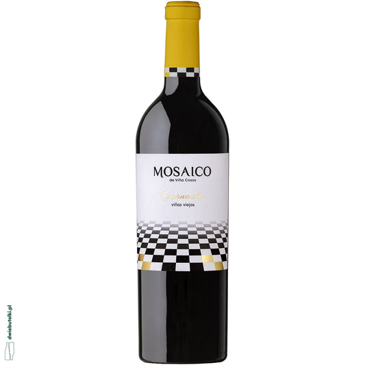 MOSAICO ARAGONESAS 2023