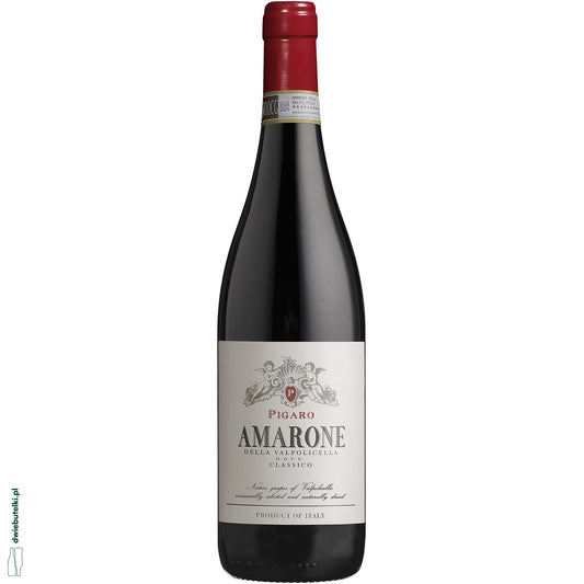 PIGARO AMARONE 2021