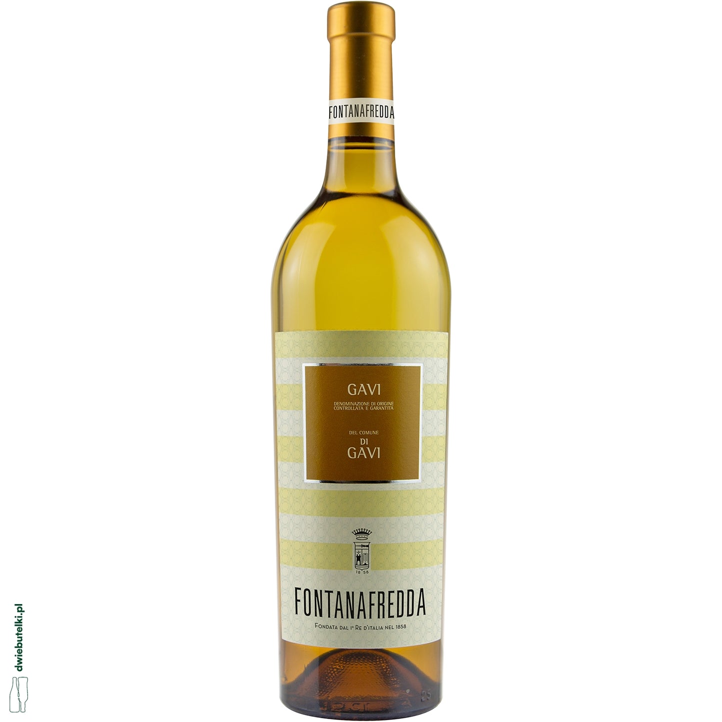 FONTANAFREDDA GAVI 2024